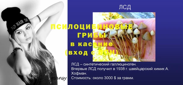 мяу мяу мука Арсеньев