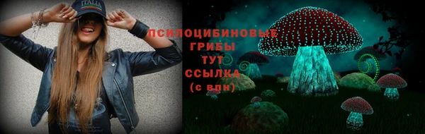 PSILOCYBIN Армянск