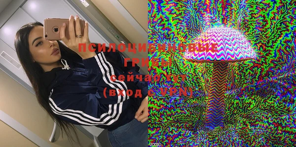 PSILOCYBIN Армянск