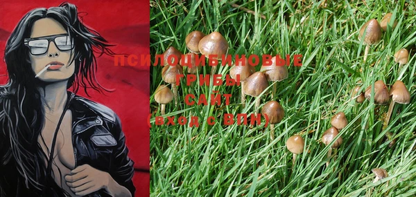 PSILOCYBIN Армянск