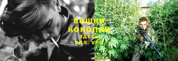 PSILOCYBIN Армянск